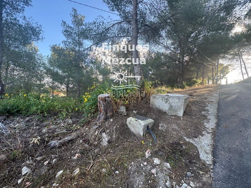 Foto a0afb964-d2c7-4e40-a21d-83b14e93bce5. Finca rústica a Bisbal del Penedès (La)