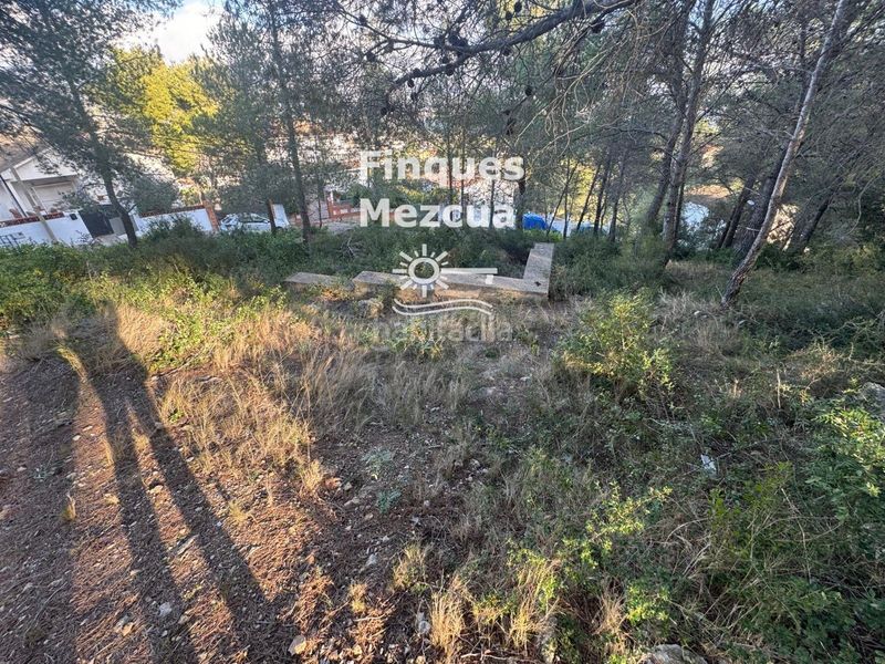 Foto eae27bf6-38ad-4312-b8d1-2fb393165e26. Finca rústica a Bisbal del Penedès (La)