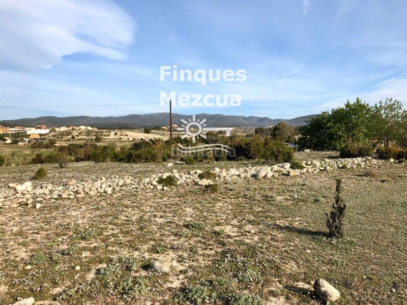 Foto 307dfca6-e2fe-4f4d-afd6-8ce79586c217. Finca rústica a Sant Jaume dels Domenys