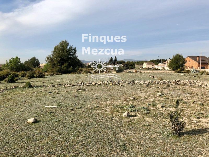 Foto 4a7fa1d5-934a-4ad9-a899-00083f213c7f. Finca rústica a Sant Jaume dels Domenys