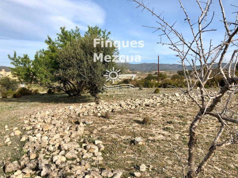 Foto c740dbc5-34a8-4fac-a8bb-57b3708220ab. Finca rústica a Sant Jaume dels Domenys