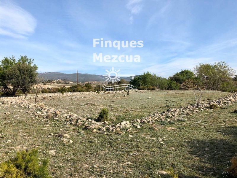 Foto e16dc17a-00fd-4fed-a9cc-95eba5f04169. Finca rústica a Sant Jaume dels Domenys