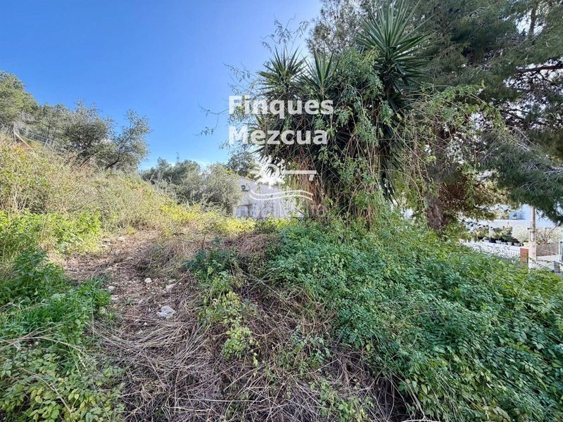 Foto 0aebf2c9-89df-4ece-9a2c-7a6fab76974e. Finca rústica a Segur de dalt Segur de Calafell