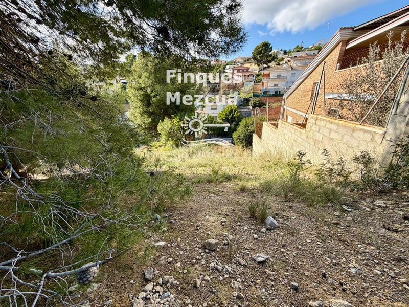 Foto 5b4d6df9-ea5c-4958-b64c-0d8d61cc6abc. Finca rústica a Segur de dalt Segur de Calafell