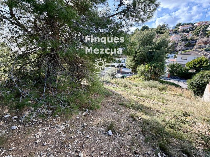 Foto 8c140cc7-2261-4610-986e-a145aaa7caab. Finca rústica a Segur de dalt Segur de Calafell