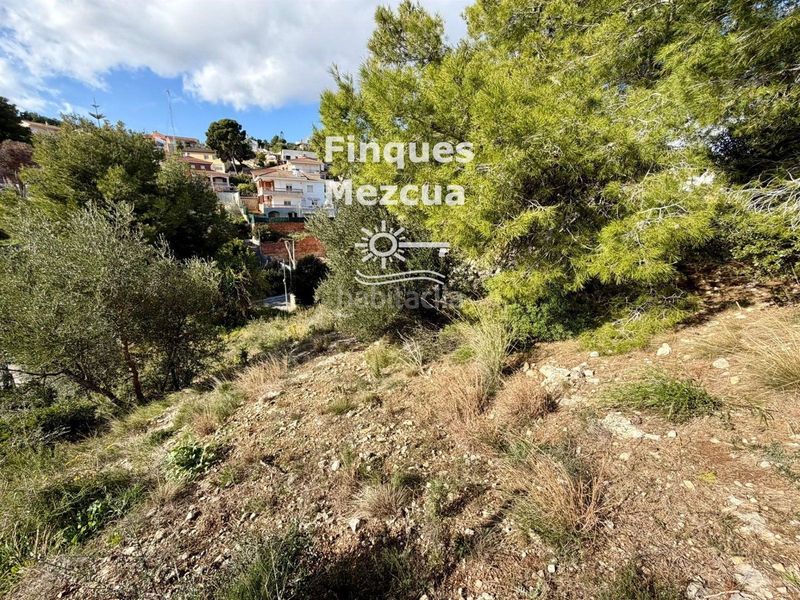 Foto ebc10573-6b9c-4e13-baab-adef45b7e0f9. Finca rústica a Segur de dalt Segur de Calafell