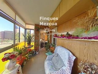 Pis  Aviles. Amplio piso familiar con terraza en larboç