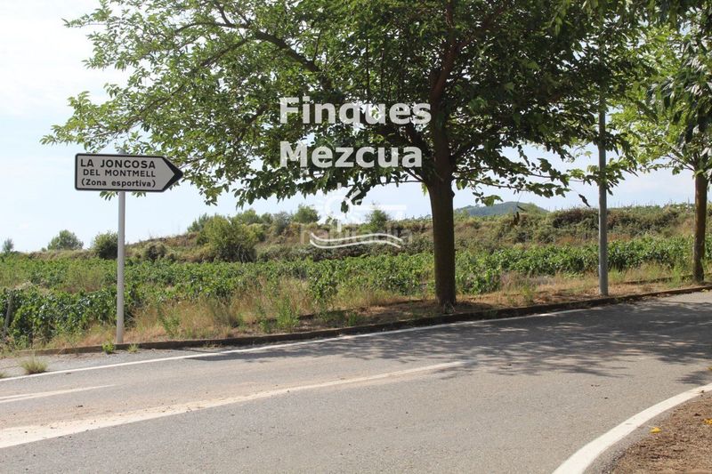 Foto 3ac96d50-0d96-47ba-8da0-d67570780299. Finca rústica a Montmell (El)