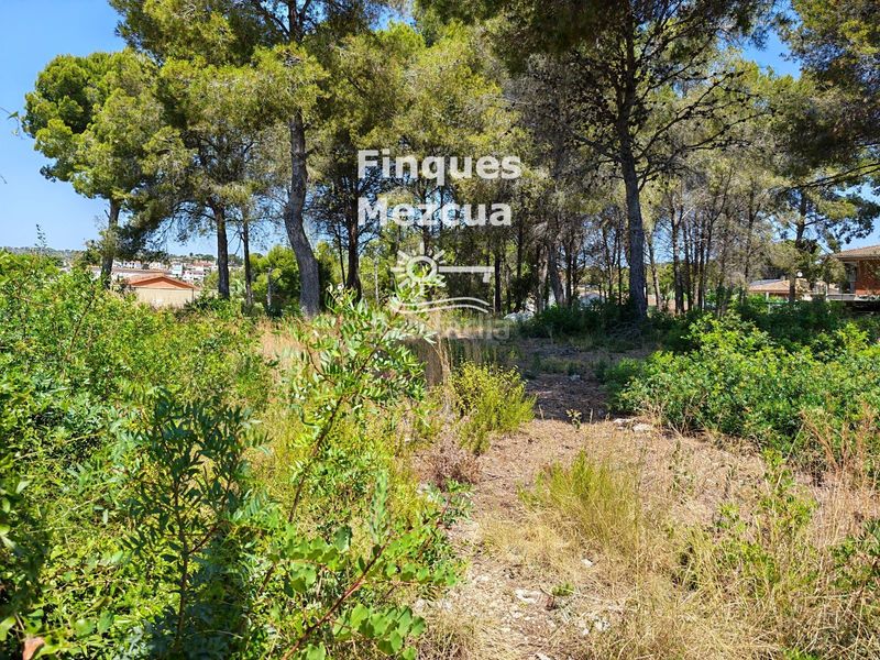 Foto 1dc88f92-ee9e-411f-85a2-19b2012ffa8a. Finca rústica a Cunit residencial Cunit
