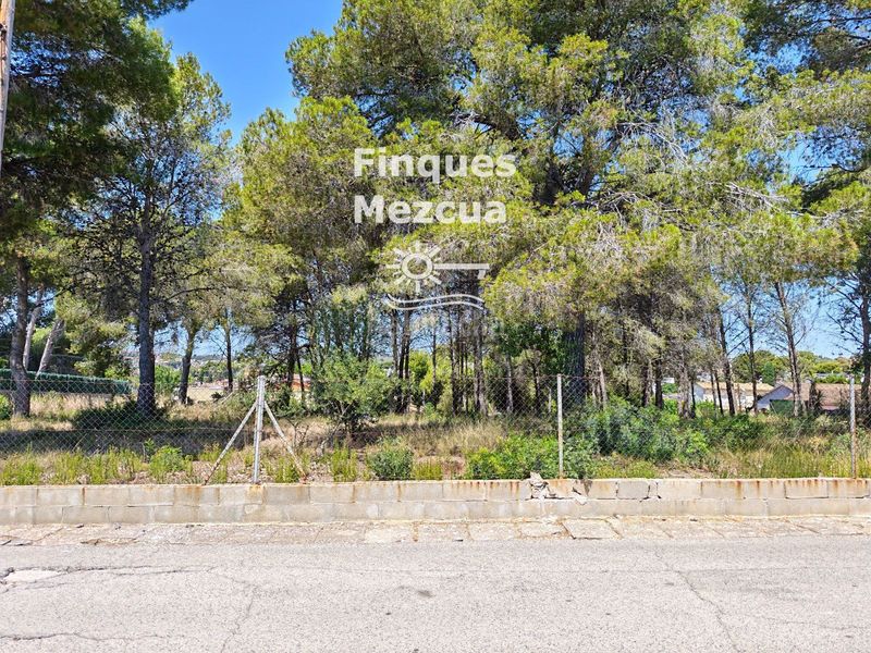 Foto 7eb2143e-df9f-4ad0-b84a-948a0ac62b29. Finca rústica a Cunit residencial Cunit