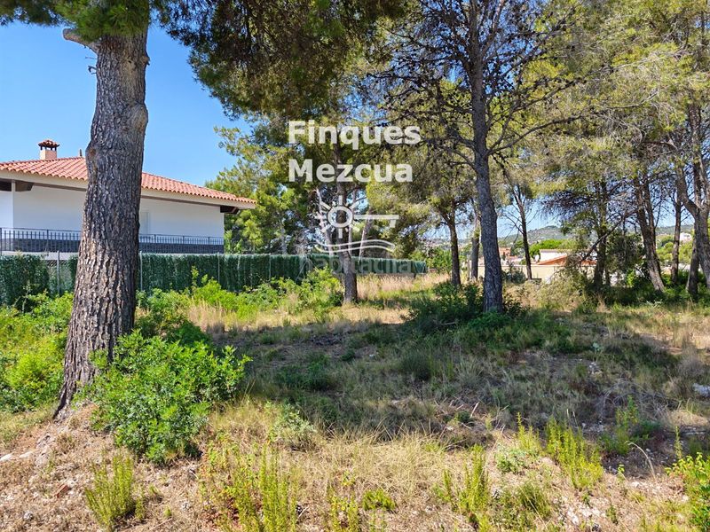 Foto ad2cf789-4b68-4142-9c4c-6cb3b3758882. Finca rústica a Cunit residencial Cunit