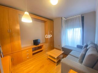 Rent Apartment in Calle de samaniego 12