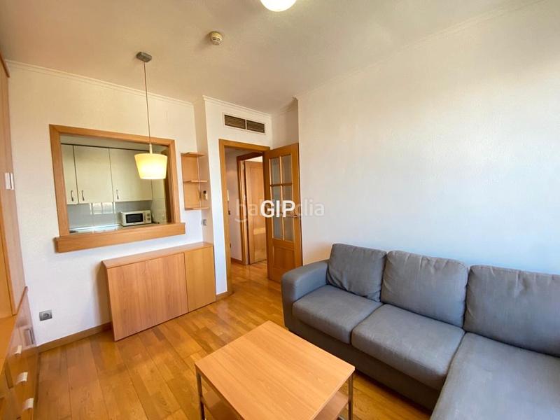 Foto 42845235-68c6-4931-9831-c384e3cdb414. Alquiler apartamento en calle de samaniego 12 en Rejas Madrid