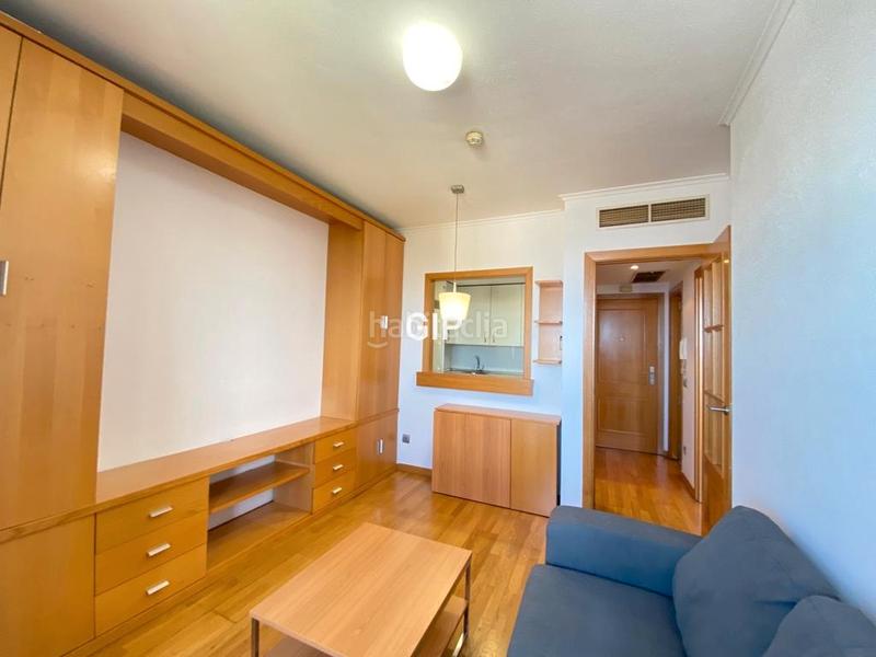 Foto f0cdf2eb-c32d-41cb-b957-f17c0c44527b. Rent apartment in calle de samaniego 12 in Rejas Madrid