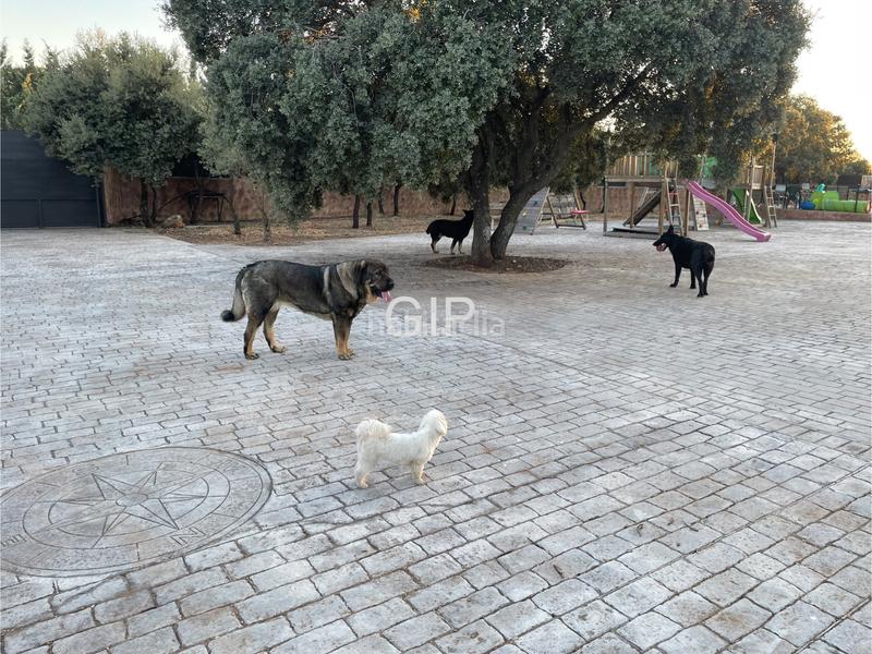 Foto ba3dd337-5389-4d45-9531-c5ad86754879. Casa amb calefacció aparcament piscina a Pioz