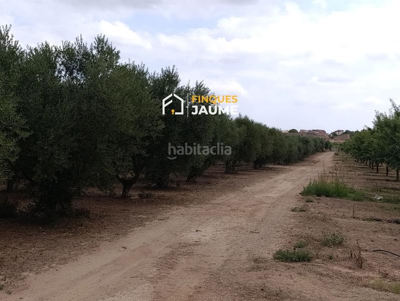 Foto 0e7282e5-a603-4687-8c81-b00c003a0712. Finca rústica terreno en venta en Sudanell