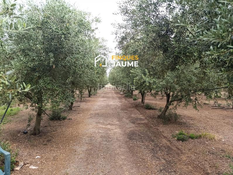Foto 635fd6b6-d7a3-4e47-918c-45a879bc78f9. Finca rústica terreno en venta en Sudanell
