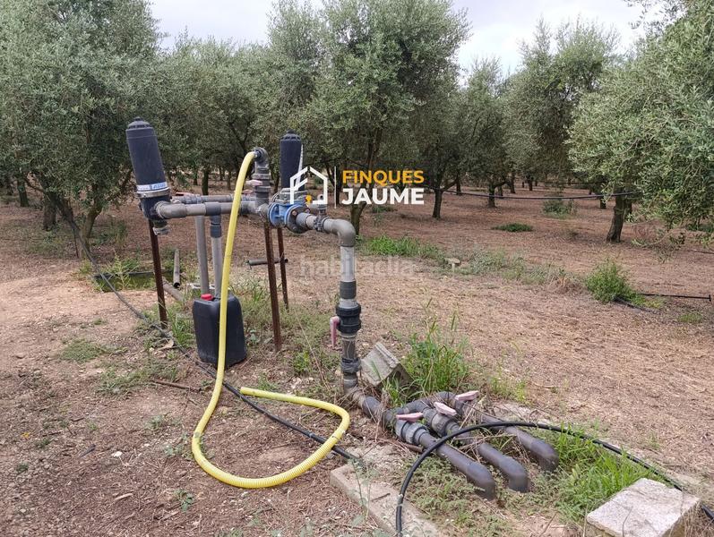 Foto a4fb43b3-dbaf-493e-8e8c-01c72f118cee. Finca rústica terreno en venta en Sudanell