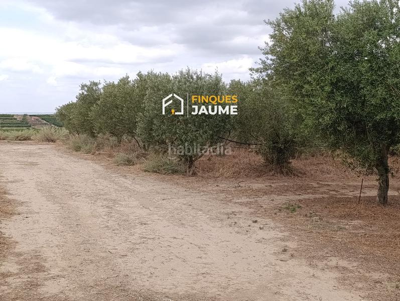 Foto c1db665a-169c-4d63-83ca-899a681d91dd. Finca rústica terreno en venta en Sudanell