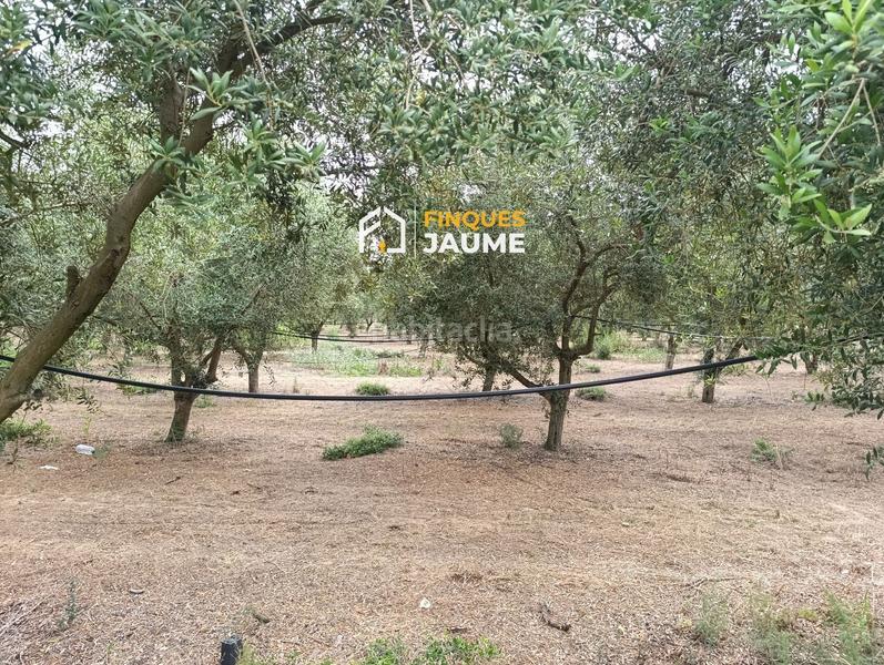 Foto fa48c6dc-b20d-4db6-803e-a397004b6d3c. Finca rústica terreno en venta en Sudanell