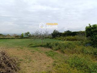 Finca rústica  Picolin. Parcela en venta en almacelles