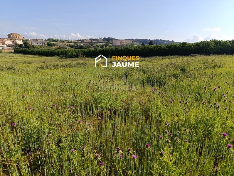 Foto 3a0e818b-12b7-468d-ac7c-f7328b58f9c4. Terreno residencial terreno urbano en venta en Almacelles