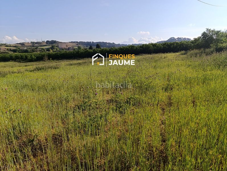 Foto 9e27e439-e322-425e-9bca-0cc8a9d49aa2. Terreno residencial terreno urbano en venta en Almacelles