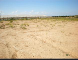 Rural plot in Calle de san javier 16