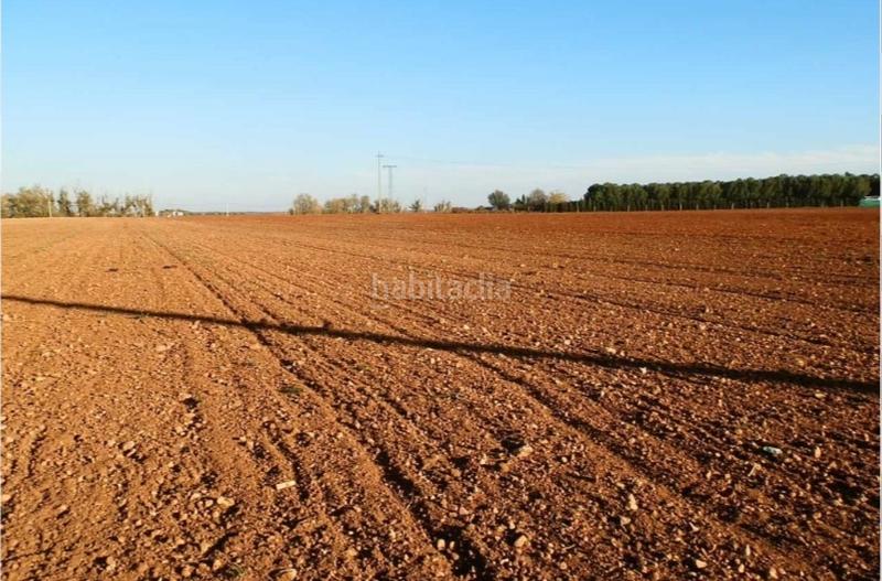 Foto 15ecc66b-0599-4b46-8eb0-304131105e5e. Finca rústica a calle albacete 1 a Hellín