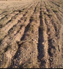 Rural plot in Calle carretera de villena km 0.800. Se vende finca de recreo