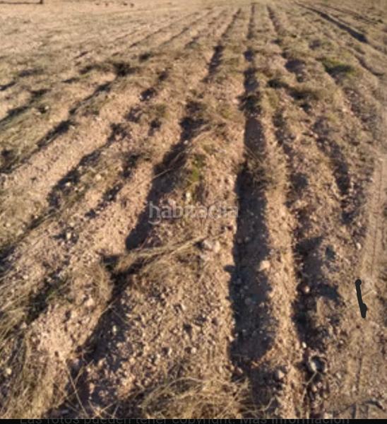 Foto 16b91cdf-d398-466f-9bf6-5f5b61dc3cdd. Finca rústica a calle carretera de villena km 0.800 a Yecla