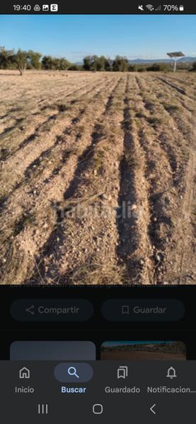 Foto 975cf6b2-1f5b-4d95-b0ea-8154fd7f99ae. Finca rústica a calle carretera de villena km 0.800 a Yecla