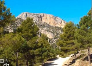 Finca rústica a Carretera moratalla 32. Se vende finca de recreo con vivienda