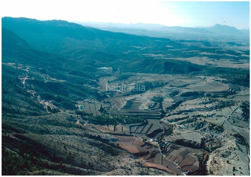 Foto c6d06d0f-4a28-49af-98b2-5ccf8c29ba04. Finca rústica a calle cehegín 21 a Bullas