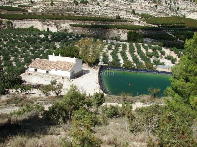 Foto f6cb2230-6929-45da-8e5a-adf269fb9ca8. Finca rústica a calle cehegín 21 a Bullas