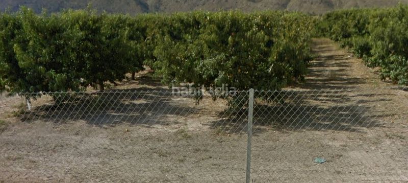 Foto 3370ba0c-5818-4b36-92ac-e42f2a1981d7. Finca rústica a calle vicente aleixandre 10 a Bullas