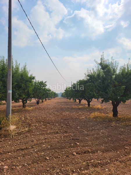 Foto 2c0391d1-f505-4875-b54e-a2e8b8c21894. Finca rústica a rm-532 2 a Cieza