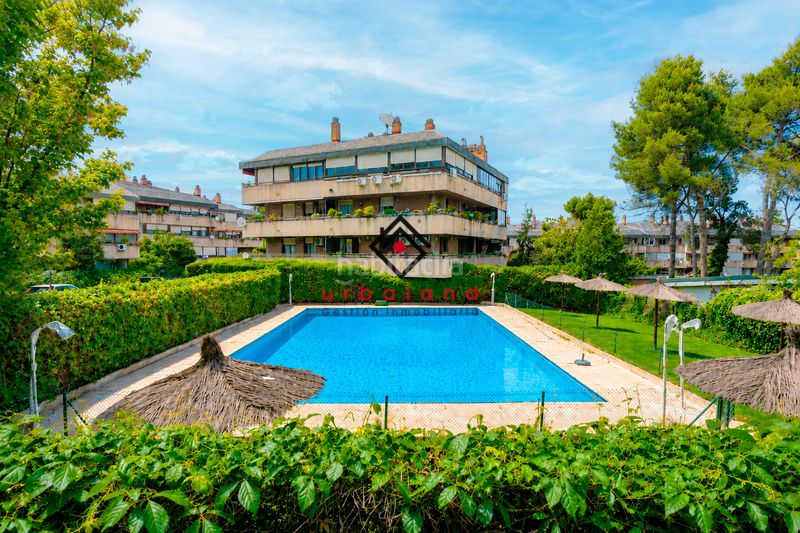 Foto b31c9b34-8802-4d74-876b-24a82ecda303. Àtic amb calefacció aparcament piscina a Recoletos Madrid