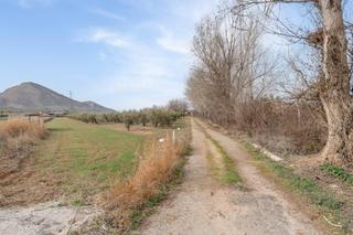 Terreny residencial a Polígono 23 parcela 63 la zanja. albolote (granad 23. Finca rústica de regadío en albolote