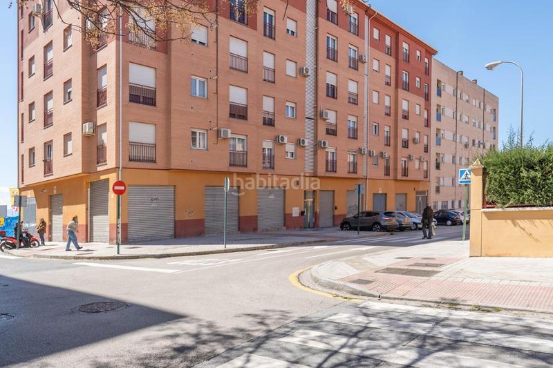 Foto 91eb1290-2bda-48d6-a1fa-42f9f2ef02ed. Piso  en calle antonia mercé en Angustias - Chana - Encina Granada