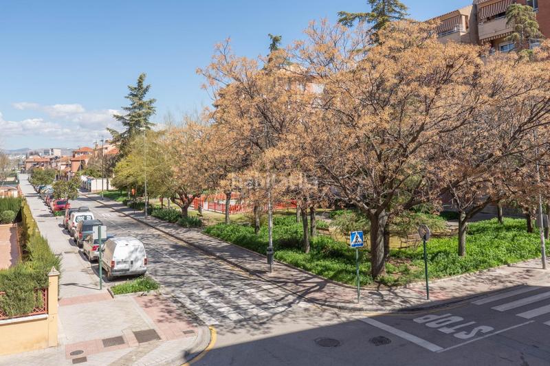 Foto e6b70725-2c08-4737-a3f2-494cf166c1e3. Piso  en calle antonia mercé en Angustias - Chana - Encina Granada
