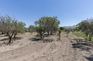 Rural plot in Campus de la Salud