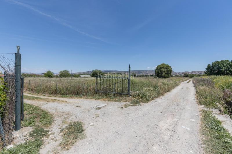 Foto d3f97896-cca2-4af4-90a0-9df9fa191206. Finca rústica en Campus de la Salud Granada