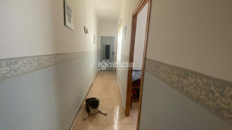 Foto 1faf1020-3a32-4010-a608-943ea687453d. Pis a Casco Antiguo Badajoz