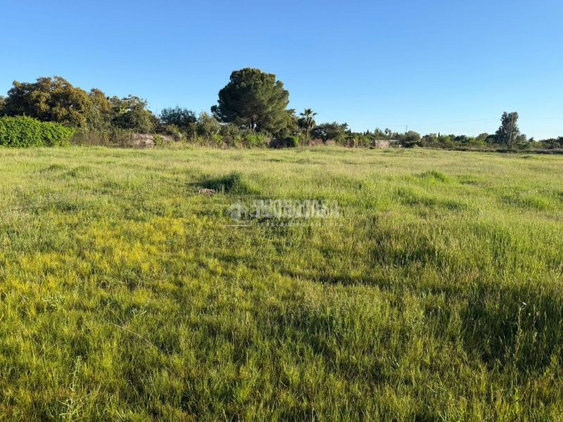 Foto 2614f304-3fe1-41d7-9136-9e6495fa7016. Terreny residencial a pedanías de Badajoz Badajoz