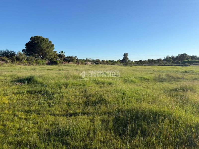 Foto 72aca188-fd48-428c-88a3-0d4d0295a837. Terreny residencial a pedanías de Badajoz Badajoz