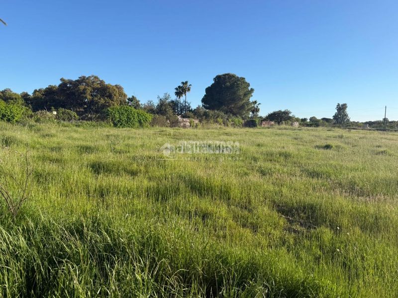 Foto 80a75e48-5213-4d5a-b83b-6807f497df2b. Terreny residencial a pedanías de Badajoz Badajoz