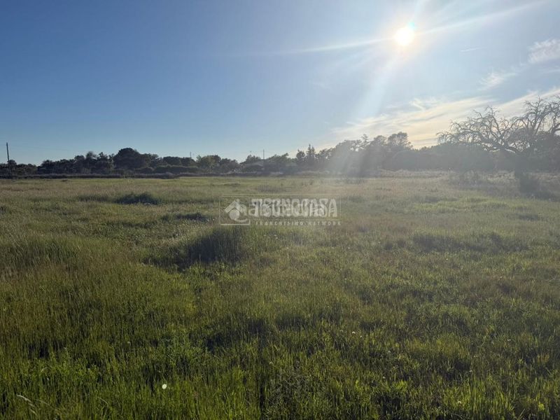 Foto d95c1e82-9eb2-46ad-a959-cefd4b632eb1. Terreny residencial a pedanías de Badajoz Badajoz