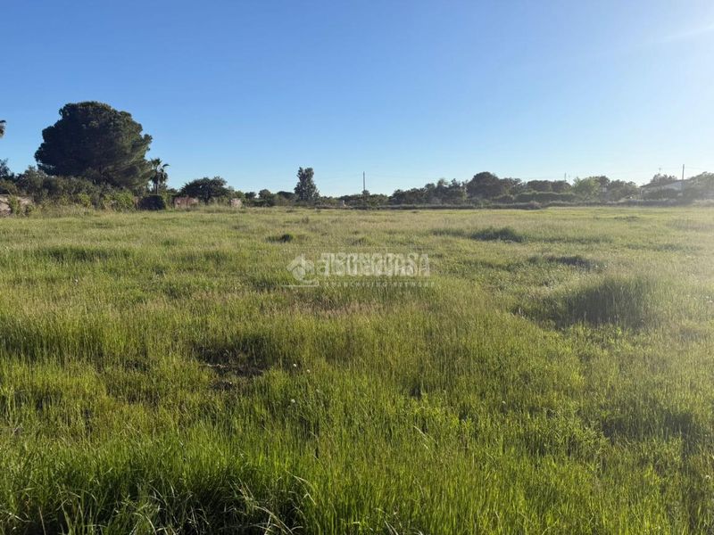 Foto ec684829-080a-4db3-8da0-624270989cf2. Terreny residencial a pedanías de Badajoz Badajoz