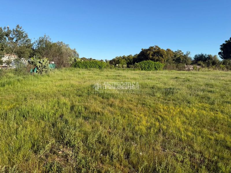 Foto f762d532-6e82-4639-a4d0-fc793275774d. Terreny residencial a pedanías de Badajoz Badajoz
